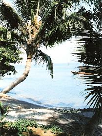 Aussicht von meinem Lieblingsplatz II