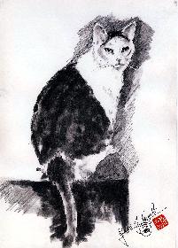 M�chte mal etwas mehr Durchblick haben