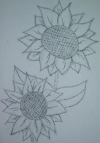 Sonnenblumen
