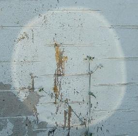 Moderne Kunst am Bau