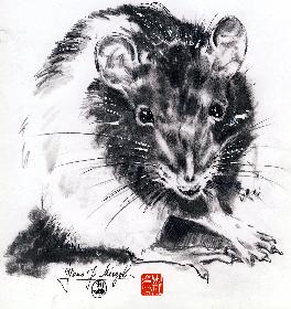 Broscha No 3 im chinesischen Jahr der Ratte