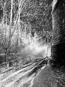 The way ...
