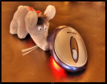 Maus sucht Maus in HDR TM
