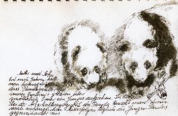 Skizzen von Gro�en Panda 01