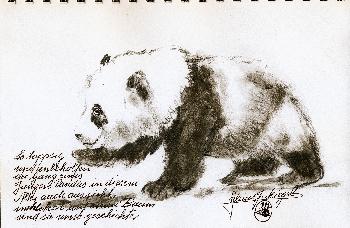Skizzen von Gro�en Panda 02