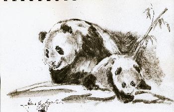 Skizzen von Gro�en Panda 05