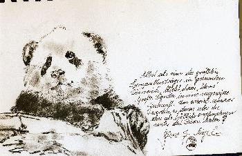 Skizzen von Gro�en Panda 09