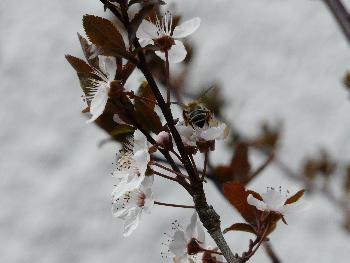 Ein sch�ner Hintern kann auch entz�cken ;) ...