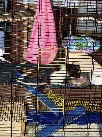 Aktuelle behindertengerechte K�figgestaltung