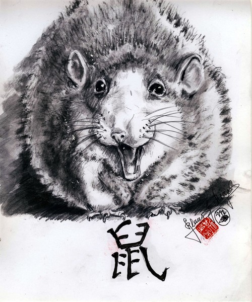 sh Die chinesische Ratte , Prinzip Jang