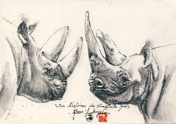 Nash�rner Zoo Frankfurt 02