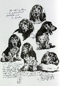 Donald von Hoheneichen