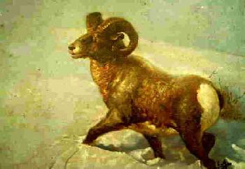 Dickhorn �l auf Leinwand