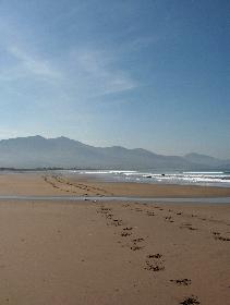 Strand in S�dirland