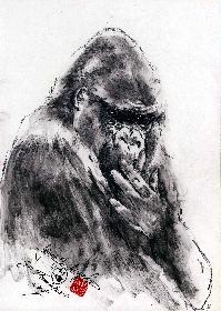 Matze aus dem Zoo FRA a MAIN 01