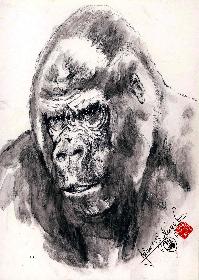 Matze aus dem Zoo FRA a MAIN 03