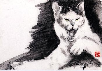 Von wegen zugelaufen!!!