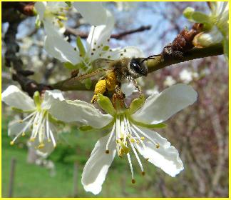 Bei der Arbeit (am besten in voller Gr��e ansehen) ..
