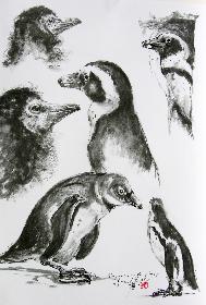 Piguine aus dem Leipziger Zoo