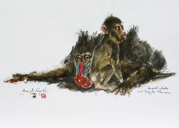 Mandrillmutter aus dem Leipziger Zoo