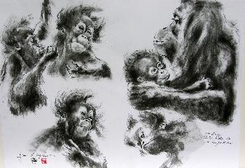 Orangmutter M�cke und Baby aus dem Zoo Berlin