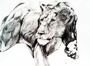 Das wilde Afrika 18 (Bewegungsstudie)