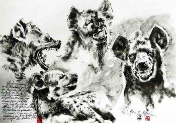 Das wilde Afrika 21 Hy�nen