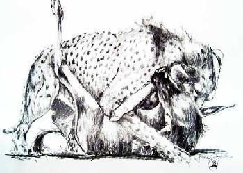 Das wilde Afrika 22 Gepard in Aktion