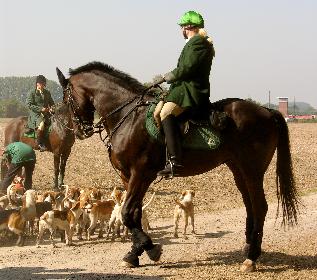 Schleppjagd auf Schloss-Kranichstein 03