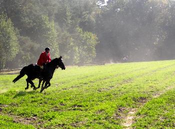Schleppjagd auf Schloss-Kranichstein 08