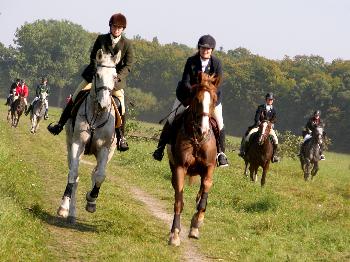 Schleppjagd auf Schloss-Kranichstein 09