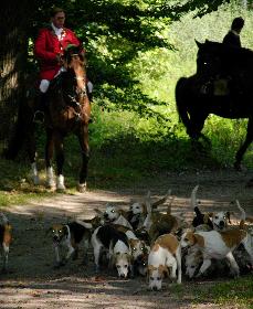 Schleppjagd auf Schloss-Kranichstein 16
