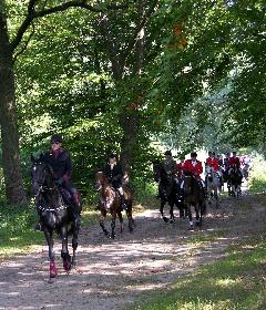 Schleppjagd auf Schloss-Kranichstein 17