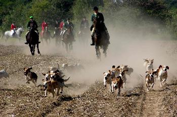 Schleppjagd auf Schloss-Kranichstein 19
