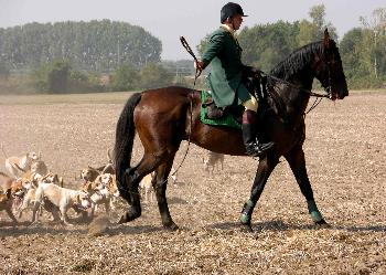 Schleppjagd auf Schloss-Kranichstein 21