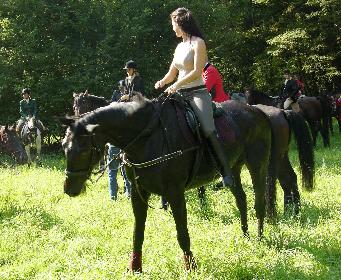 Schleppjagd auf Schloss-Kranichstein 22