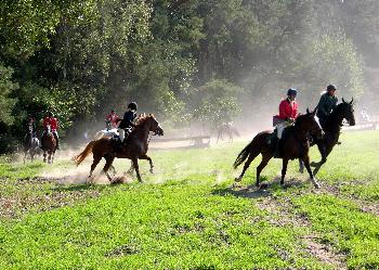 Schleppjagd auf Schloss-Kranichstein 27