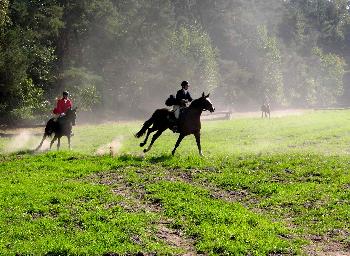 Schleppjagd auf Schloss-Kranichstein 28