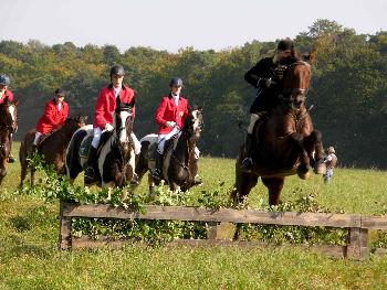 Schleppjagd auf Schloss-Kranichstein 29