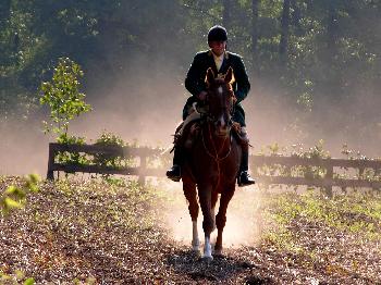 Schleppjagd auf Schloss-Kranichstein 30