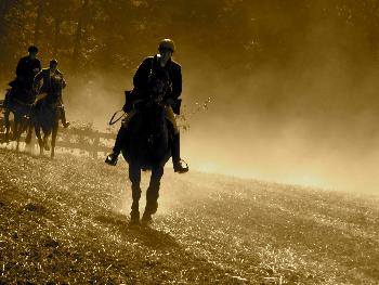 Schleppjagd auf Schloss-Kranichstein 31
