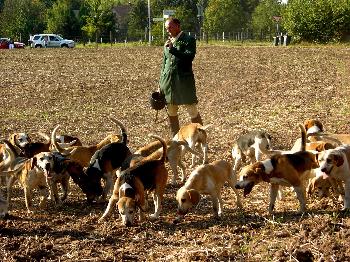 Schleppjagd auf Schloss-Kranichstein 32