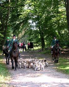 Schleppjagd auf Schloss-Kranichstein 33