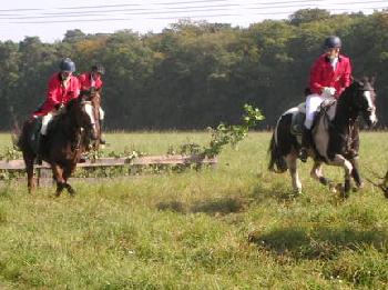Schleppjagd auf Schloss-Kranichstein 37