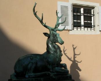 Schleppjagd auf Schloss-Kranichstein 38