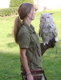  Am Rande der Schleppjagd 09