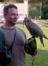  Am Rande der Schleppjagd 10