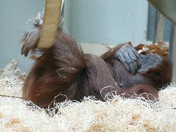 So l�ssts sichs aushalten ...