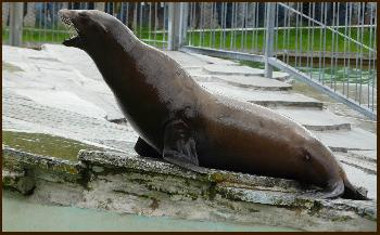 Mercedes beim *Alle-meine-Entchen-Singen* ...