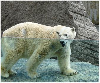 So viele Menschen (lecker!) .oO